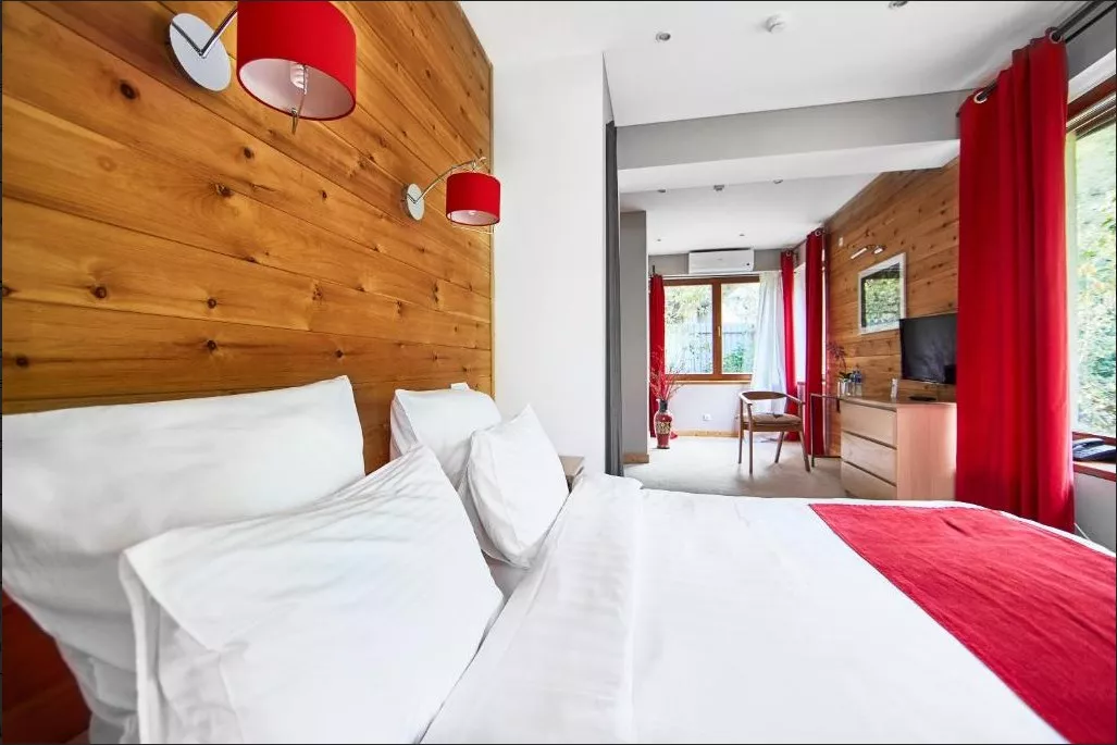  Двухместный номер с 1 кроватью. Гостевой дом Гостевой дом Парк Шале. Красная Поляна