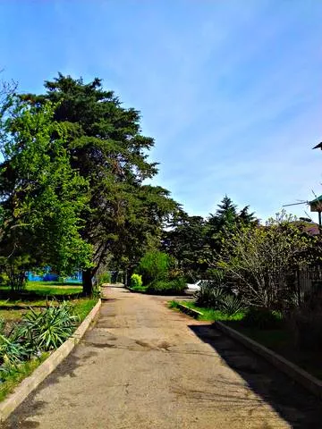 . База отдыха "Платан". Лазаревское . База отдыха "Платан". Лазаревское