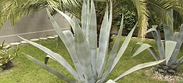 Гостевой дом "Маретель"