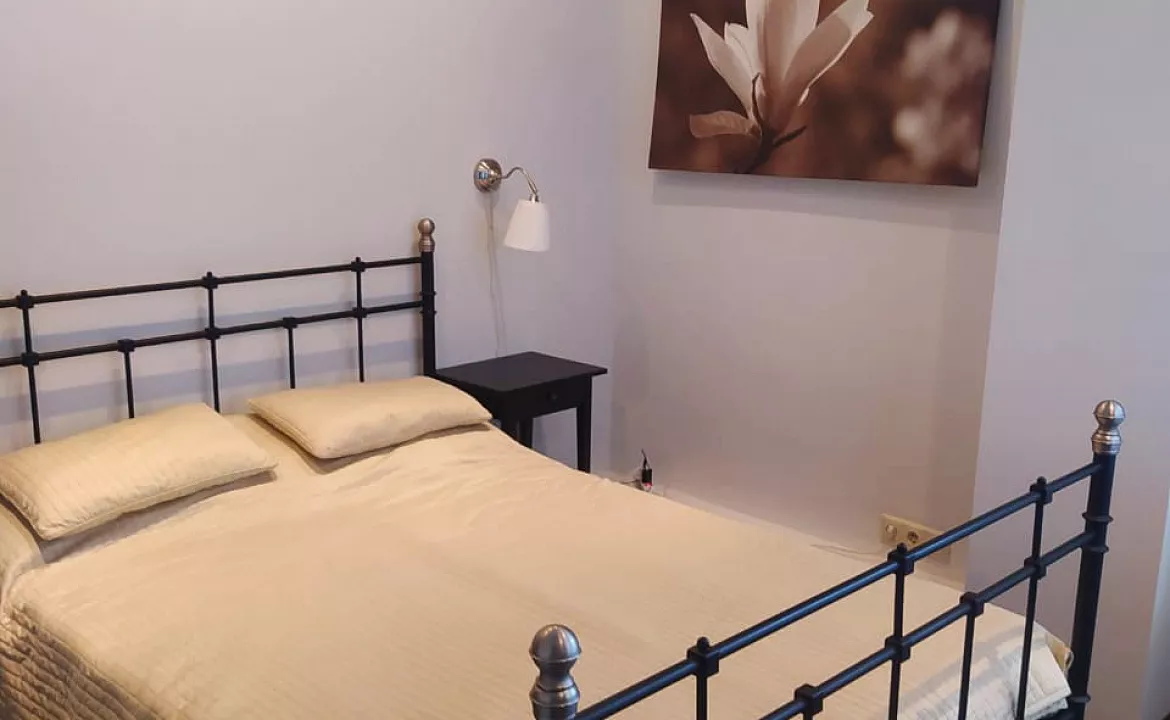 Апартаменты 2х-комнатные . Апарт-отель "Афалина"     . Ольгинка