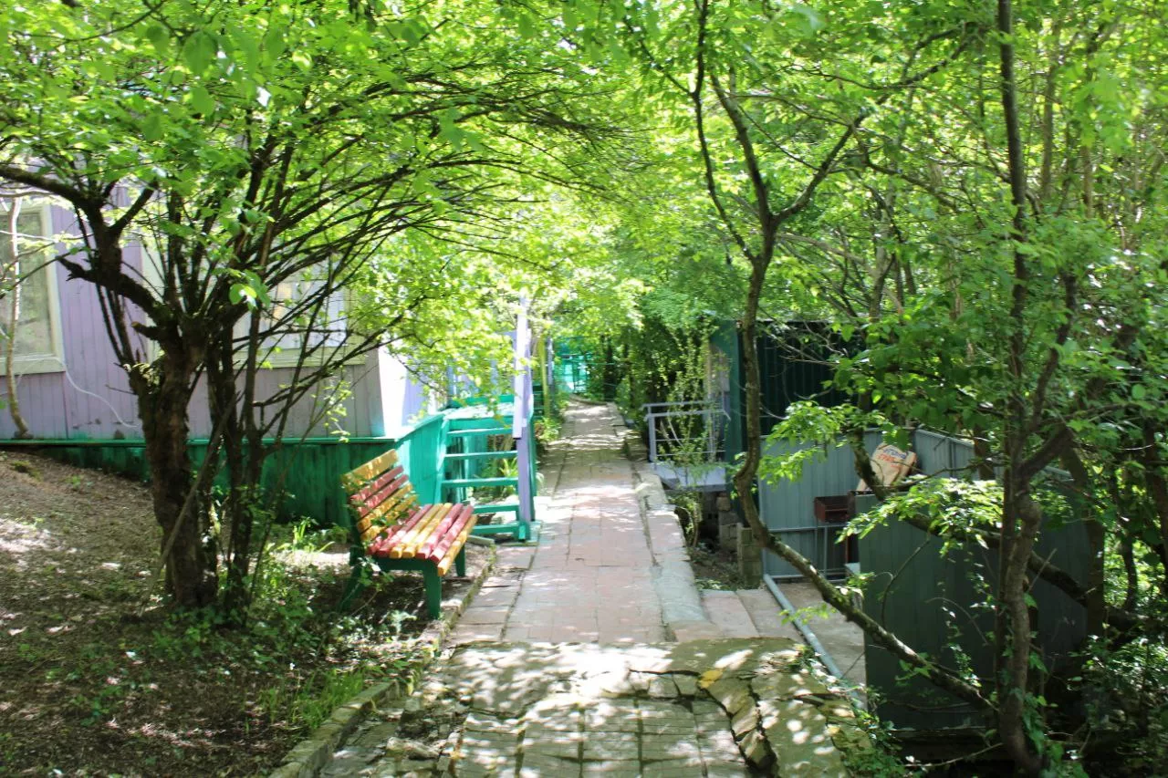 . База отдыха Усадьба в лесу. Архипо-Осиповка