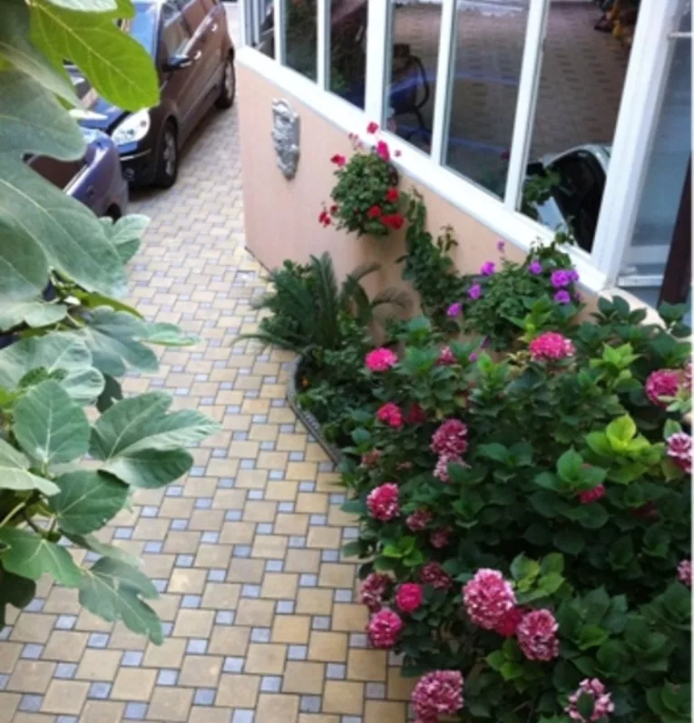 . Гостевой дом "АТикА". Адлер