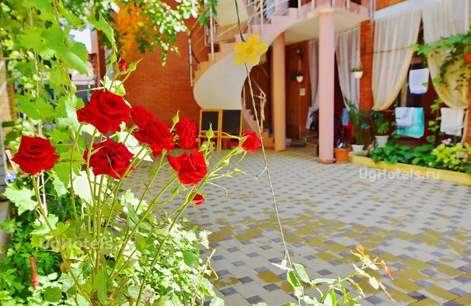 . Гостевой дом "Жемчужина" - Дивноморское. Дивноморское