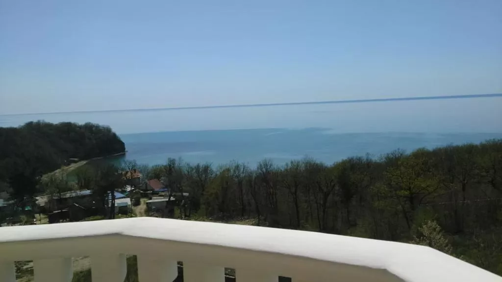 . Гостевой дом Дельфин - Новомихайловский. Новомихайловский