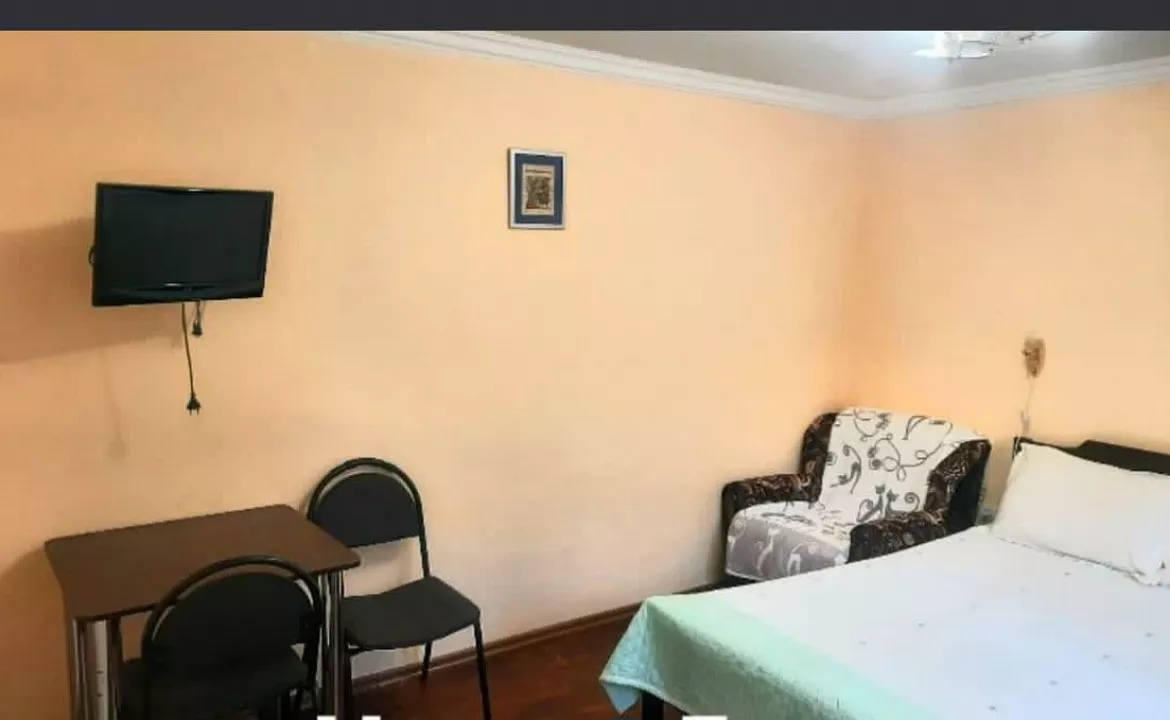 Эконом 3-х местный. Частный сектор Зеленый дворик - Гагра. Гагра