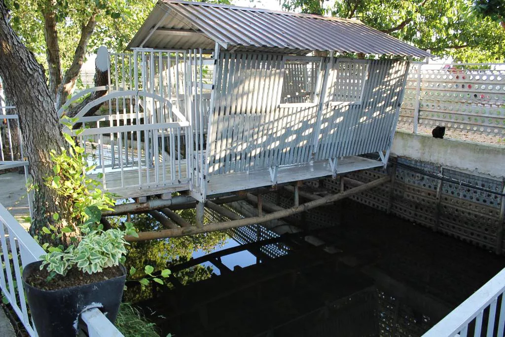 . Отель Пшандра. Гудаута