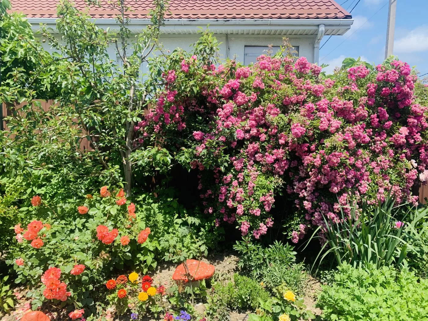 . Гостевой дом Valeri. Джубга