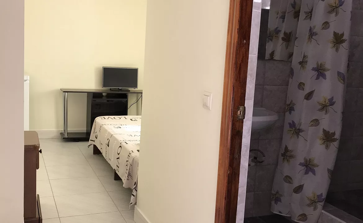 Люкс №2 двухместный. Гостевой дом "Оазис". Сухум