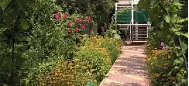 Гостевой дом «Зелёный дворик»