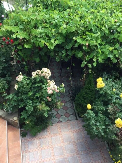 . Вилла Bellavista. Орджоникидзе