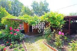 Гостевой дом "Зеленый дворик" - Криница