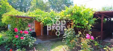 Гостевой дом "Зеленый дворик" - Криница