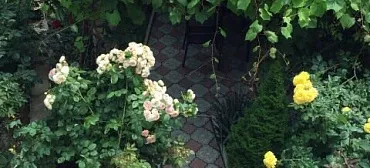 Вилла Bellavista Вилла Bellavista