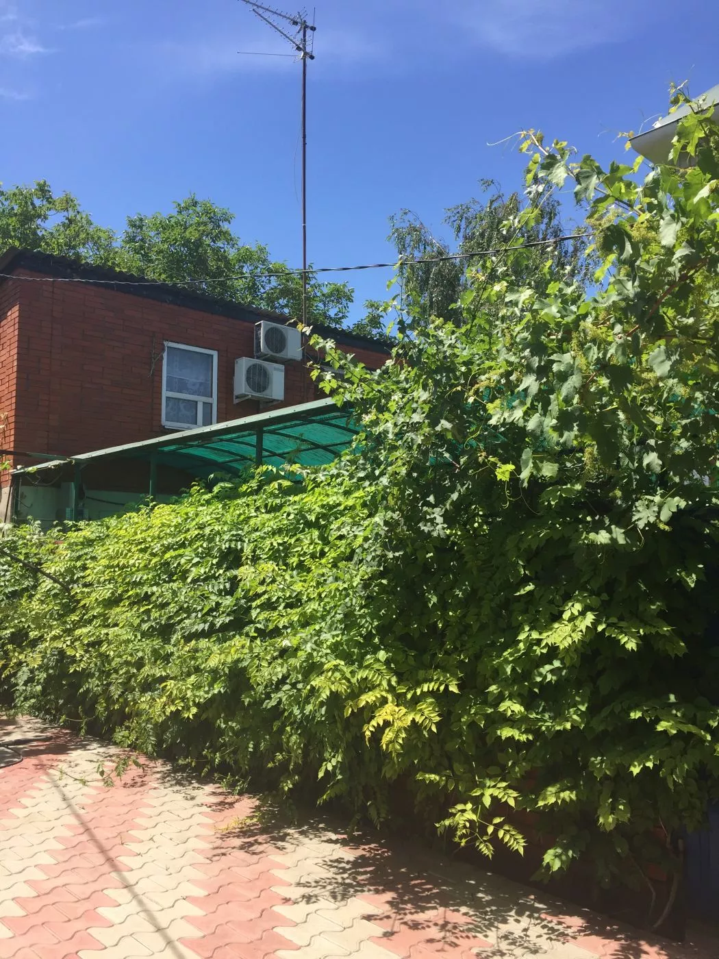 . Гостевой дом на Комарова 17. Витязево