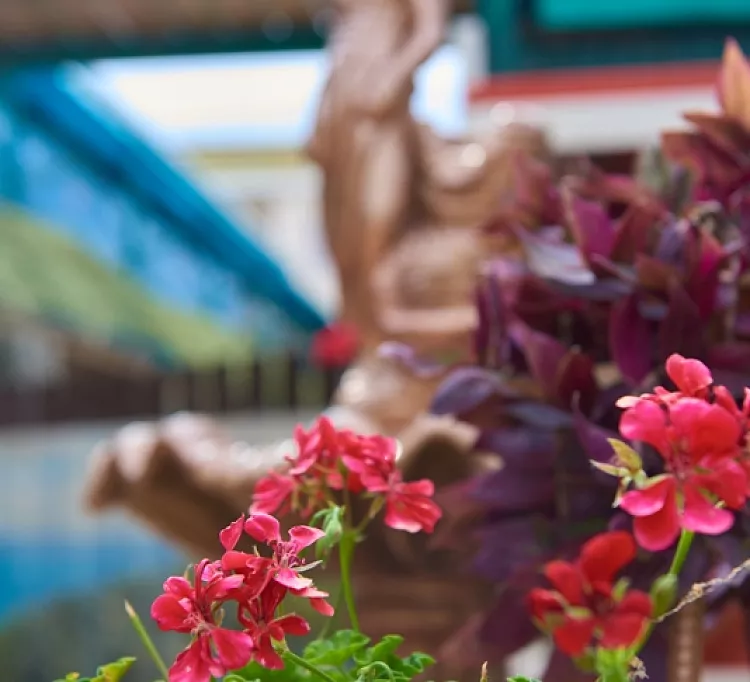 . Частный гостевой дом Тамань. Голубицкая