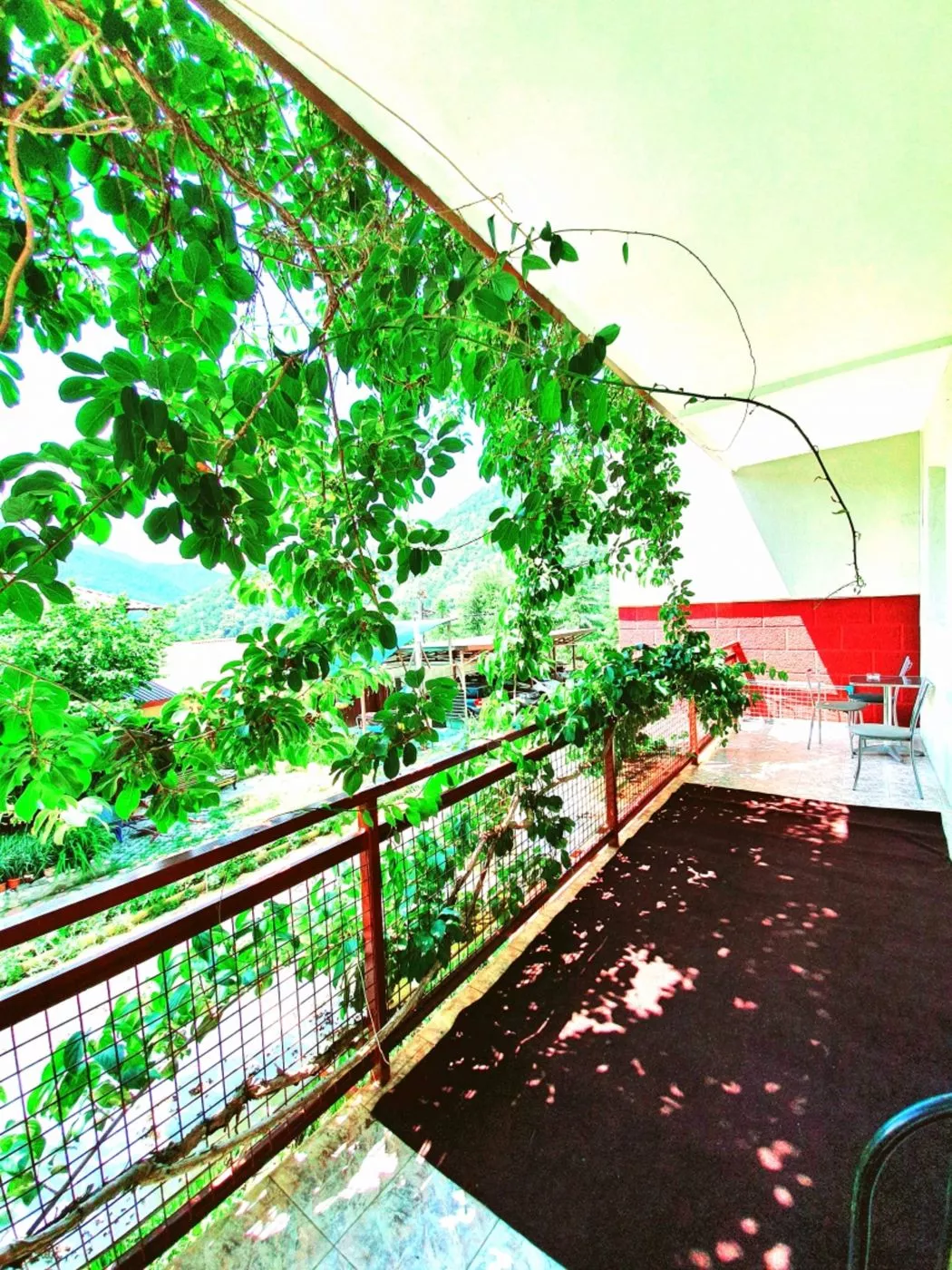 . Гостевой дом Родник. Красная Поляна