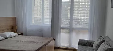 Квартира в многоквартирном доме Студия с мини-кухней и балконом 