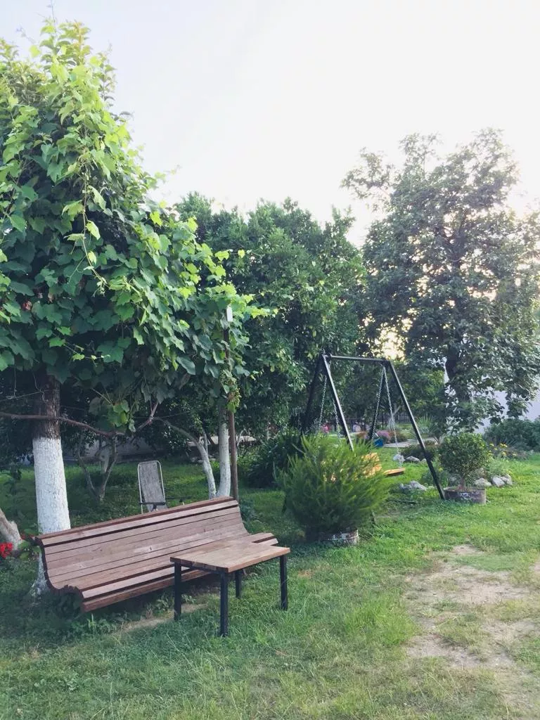 . «Леона». Пицунда . «Леона». Пицунда