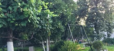 «Леона» «Леона»