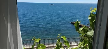 Эллинг "Селена" Эллинг "Селена"