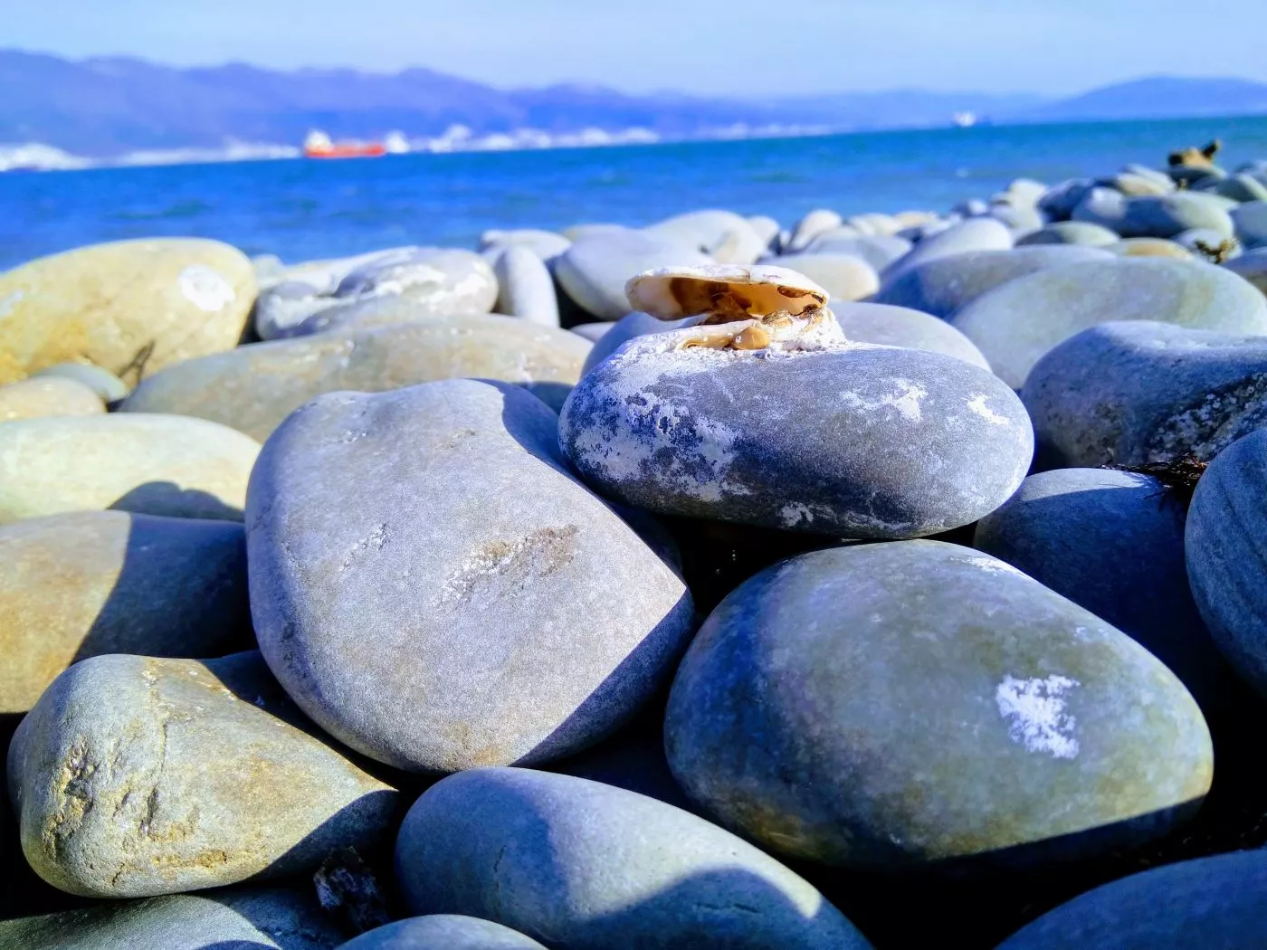 . Квартира в многоквартирном доме Чистая и Уютная. Курорты Новороссийска