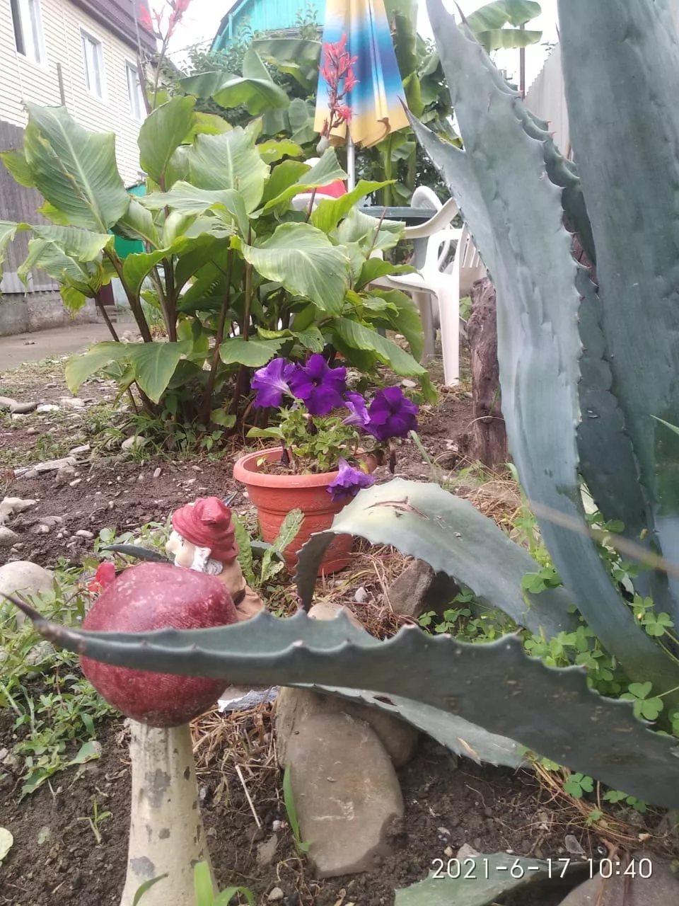 . Частный сектор "У Тани". Лазаревское