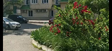 Квартира в многоквартирном доме 2-х комнатная Омелькова 14 