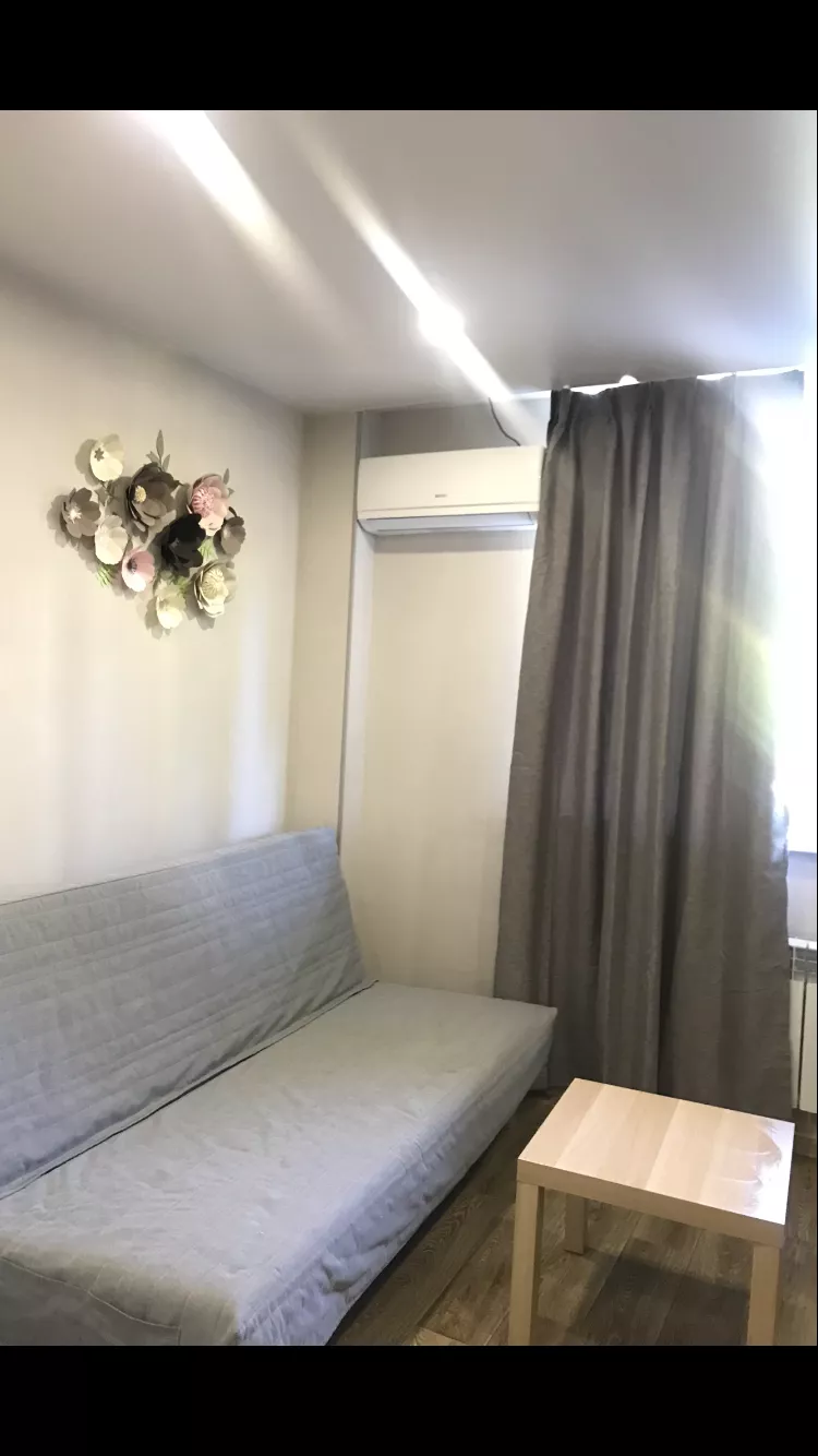 . Квартира поделённая на 2 студии каждая со всеми удобствами. Курорты Сочи