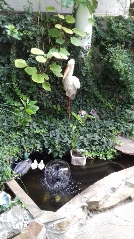 . Гостевой дом Аквамарин - Кабардинка. Кабардинка