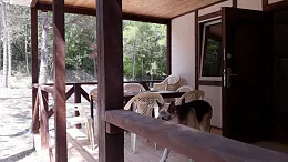 Частный сектор "НезаБудка"