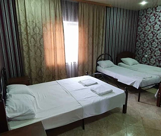 Пятиместный номер. Гостевой дом "Розовая пантера". 