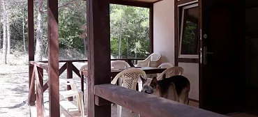 Частный сектор "НезаБудка"