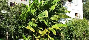 Пансионат Семейный