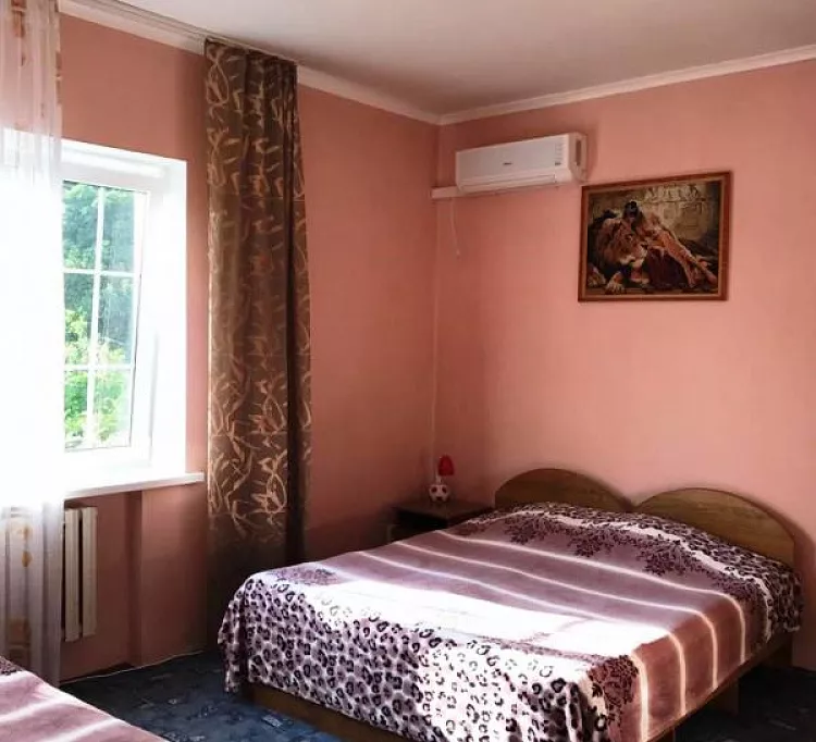 Стандарт. Гостевой дом Зеленый рай. Солоники