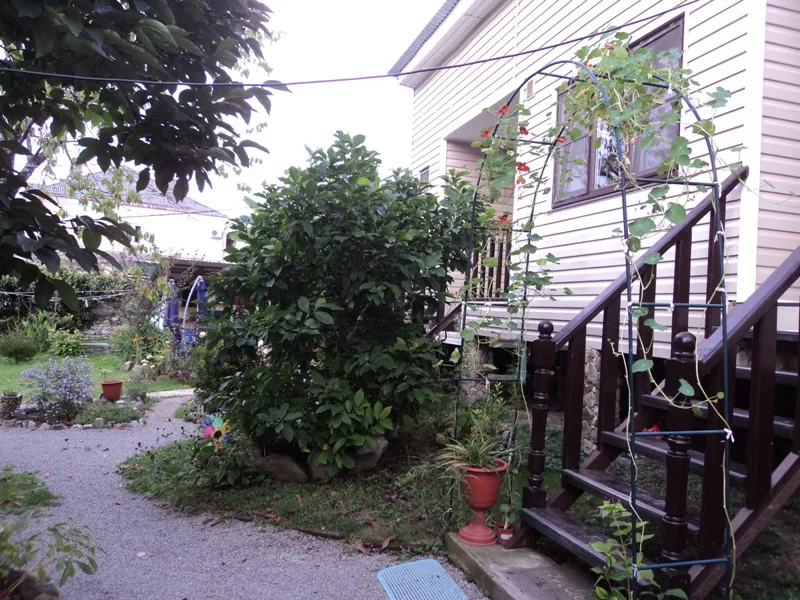 . Гостевой дом "Райский сад". Шепси . Гостевой дом "Райский сад". Шепси