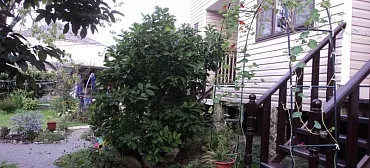 Гостевой дом "Райский сад"