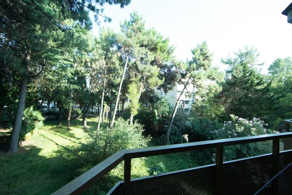 . Отель Профспотр . Адлер