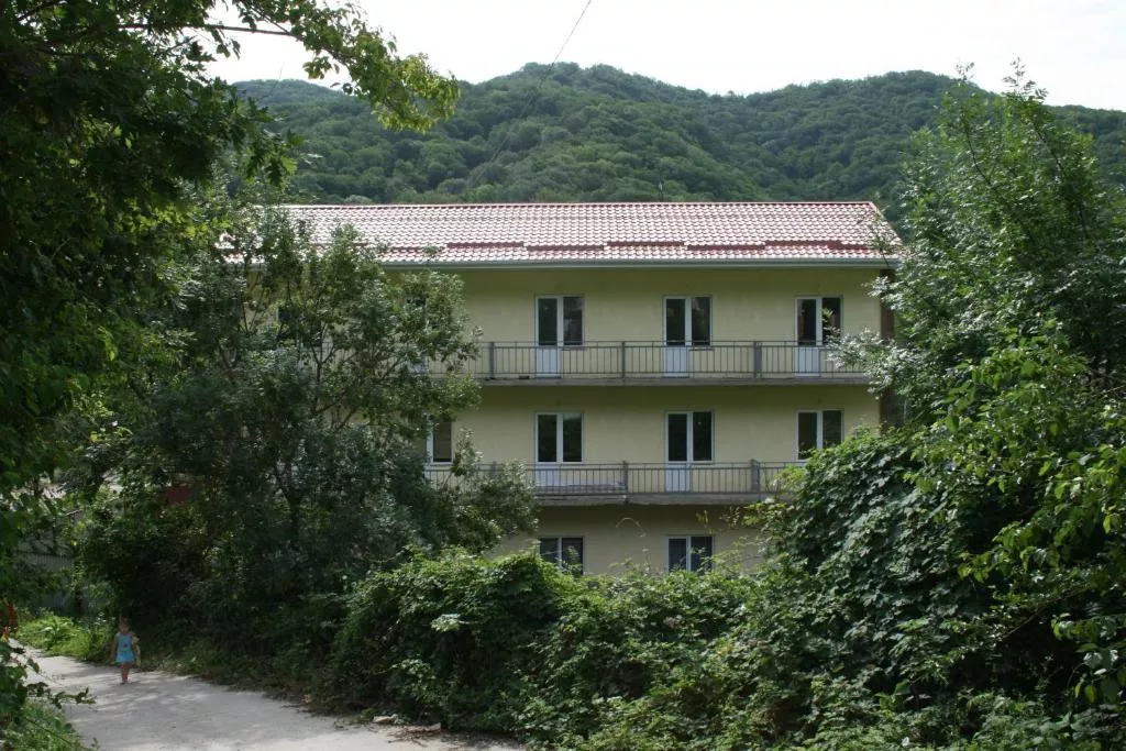 . Гостевой дом Евгения. Небуг