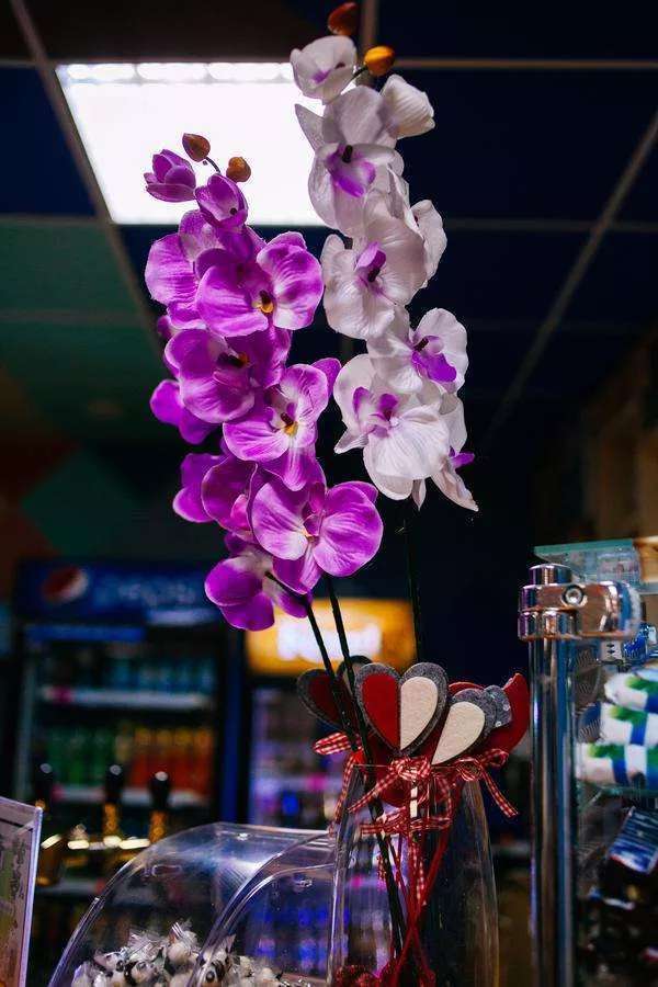 . Отель «Приют Панды». Красная Поляна