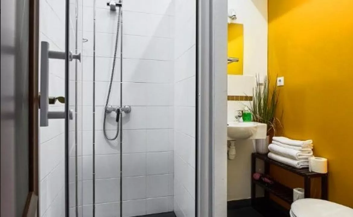  Двухместный номер с 1 кроватью. Гостевой дом Гостевой дом Парк Шале. Красная Поляна