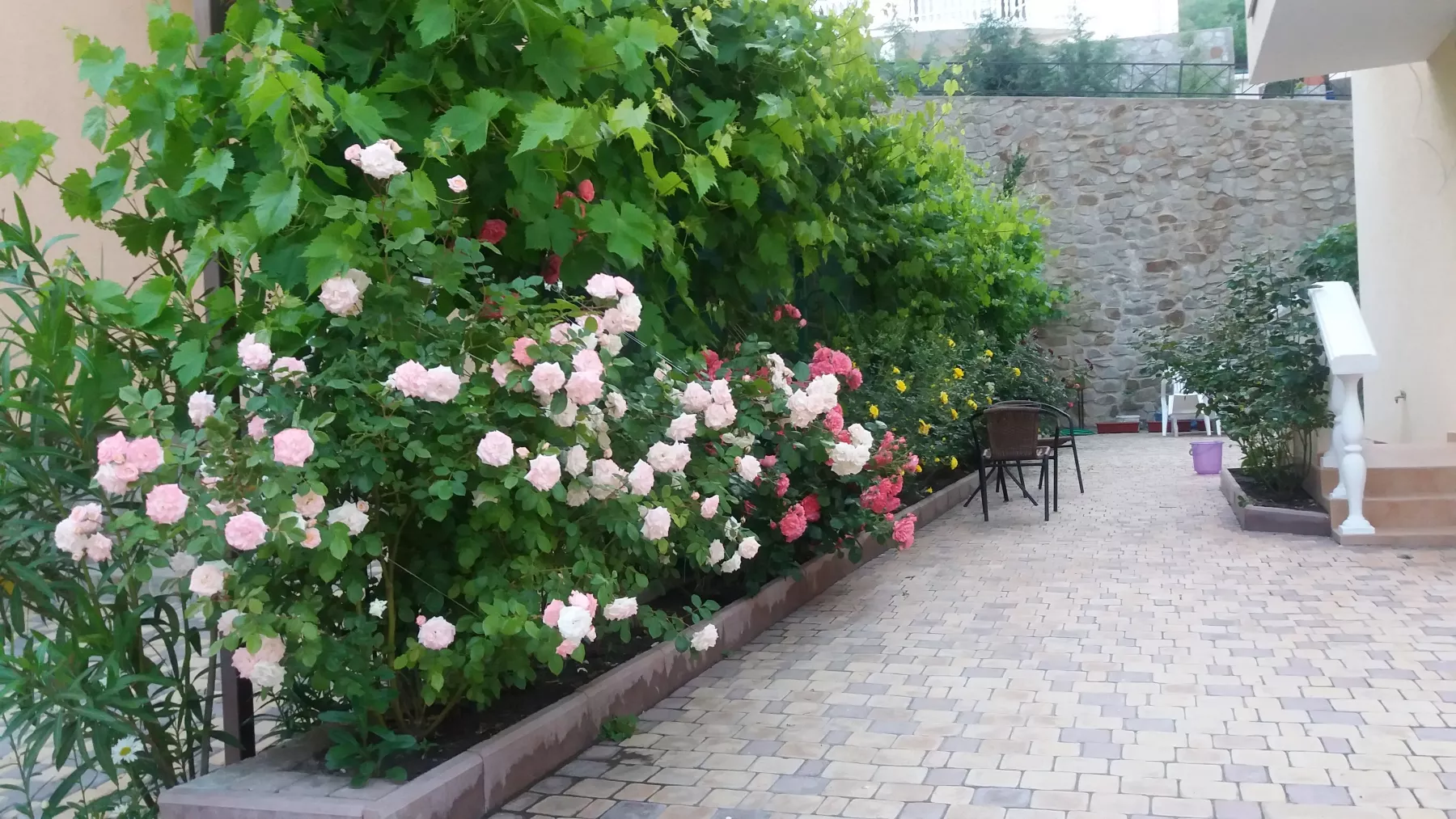 . Бутик-отель «Лаванда». Рыбачье