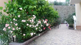 Бутик-отель «Лаванда» Бутик-отель «Лаванда»