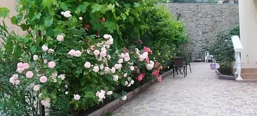 Бутик-отель «Лаванда»