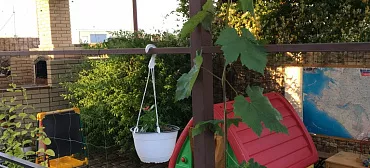 Гостевой дом "Сафари" гостевой дом 