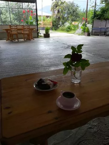 . Частный сектор "У Сусанны". Пицунда