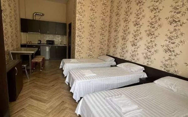 Студия 3-х местная с личной кухней. Отель «Черноморец». Лазаревское Студия 3-х местная с личной кухней. Отель «Черноморец». Лазаревское