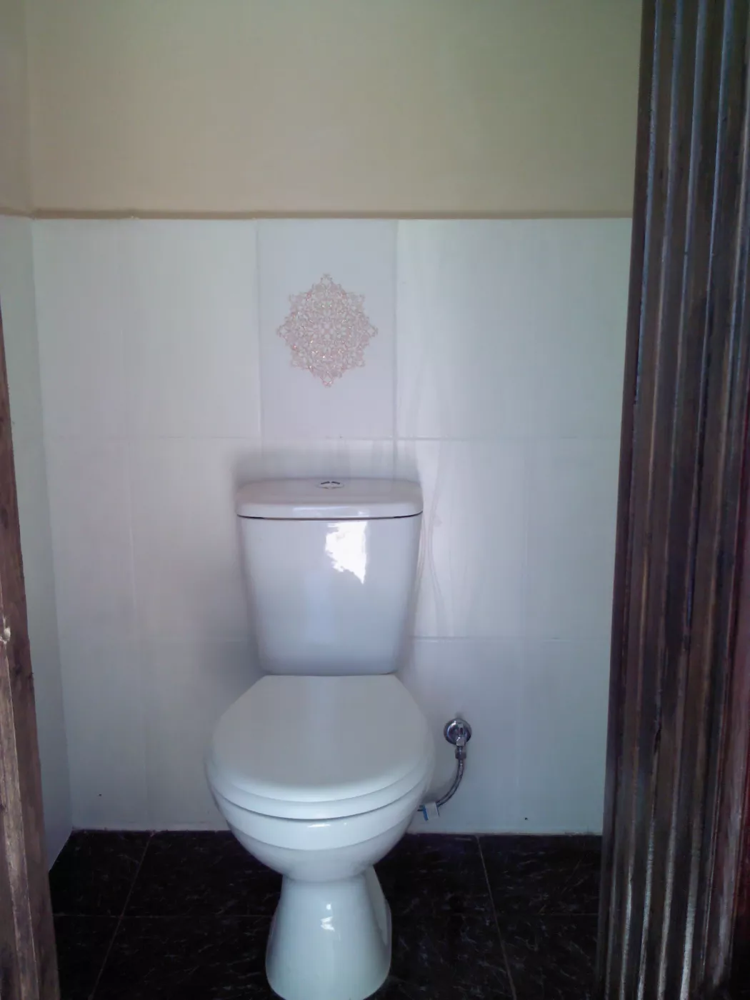 . Частный сектор "Отдых у Эсмы". Гудаута