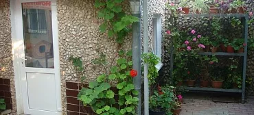 Частный сектор Александра