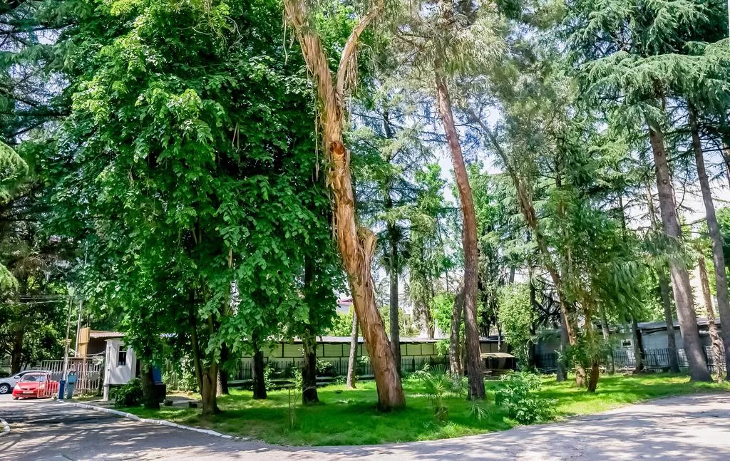 . Отель Профспотр . Адлер