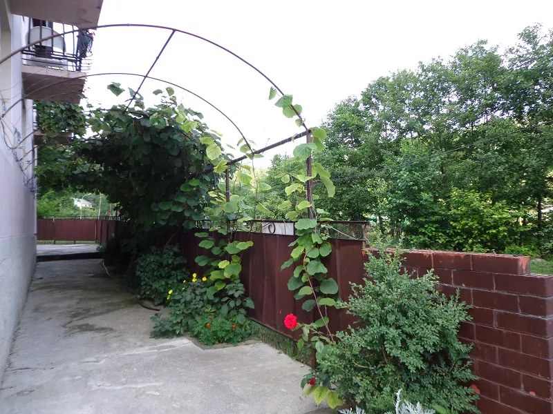 . Гостевой дом "У Риммы" - Каткова Щель. Каткова Щель